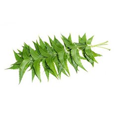 neem